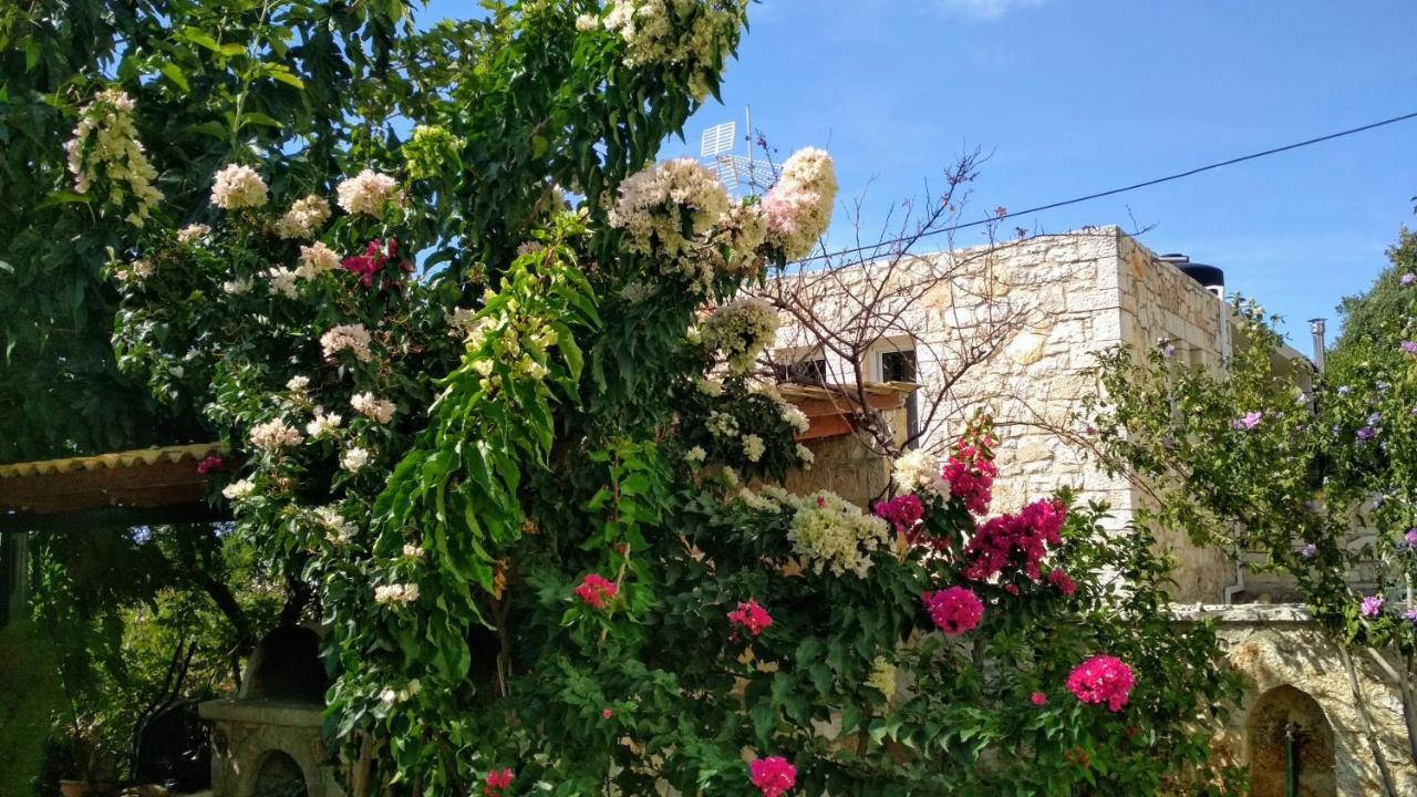 Villa Vera Sivota  Exterior photo